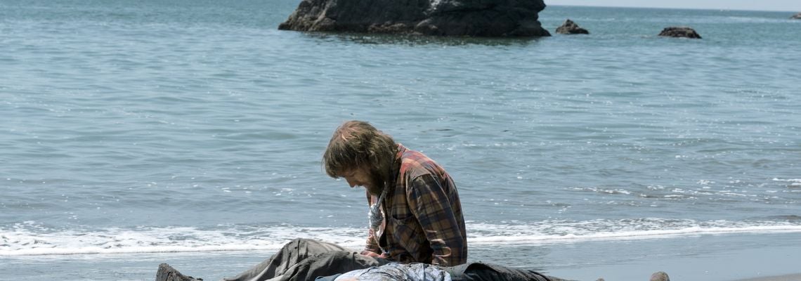 Cover Swiss Army Man