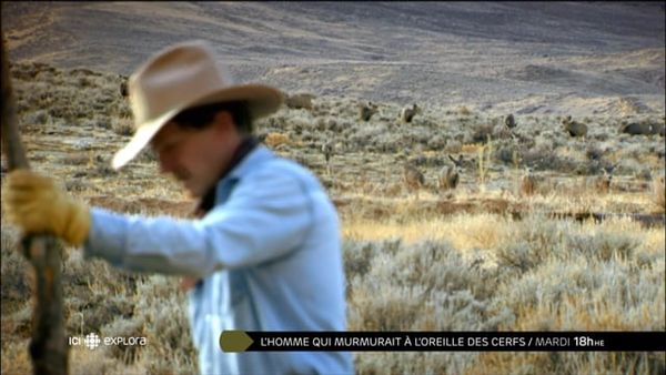 L'homme Qui Murmurait à L'oreille Des Cerfs