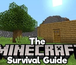 image-https://media.senscritique.com/media/000018632100/0/The_Minecraft_Survival_Guide.jpg