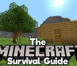 image-https://media.senscritique.com/media/000018632100/0/the_minecraft_survival_guide.jpg