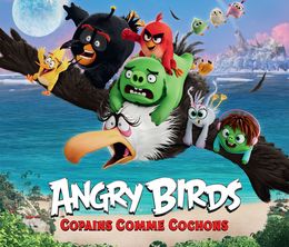 image-https://media.senscritique.com/media/000018634976/0/angry_birds_copains_comme_cochons.jpg