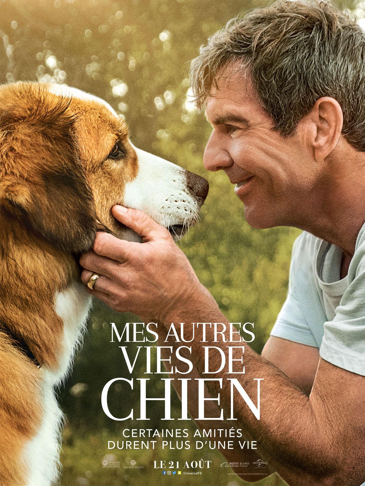 Mes Autres Vies De Chien Film 2019 Senscritique