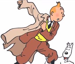 image-https://media.senscritique.com/media/000018637240/0/Tintin_l_integrale.jpg