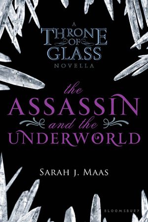 The Assassin and the Underworld