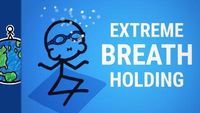 The Secrets of Extreme Breath Holding
