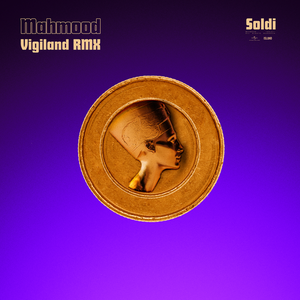 Soldi (Vigiland RMX)