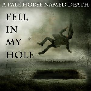 Fell in My Hole (Single)