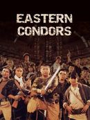 Affiche Eastern Condors
