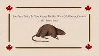 Joe Pera Talks To You About The Rat Wars of Alberta, Canada, 1950 - Present Day