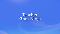 Bibou et le professeur ninja