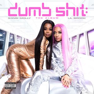 Dumb S**t: The Album