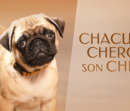 image-https://media.senscritique.com/media/000018651263/0/Chacun_cherche_son_chien.png