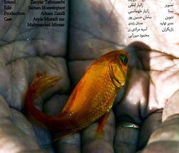 image-https://media.senscritique.com/media/000018652207/0/fish.jpg