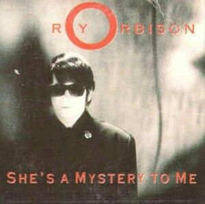 She's a Mystery to Me (Single)