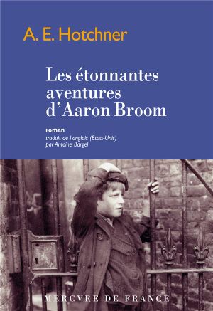 Les étonnantes aventures d'Aaron Broom