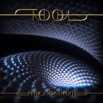 Pochette Fear Inoculum Pochette Fear Inoculum