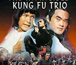 image-https://media.senscritique.com/media/000018657940/0/l_invincible_trio_kung_fu.jpg