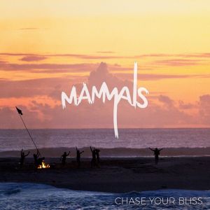 Chase Your Bliss (Single)