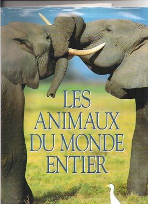 Les animaux du monde entier