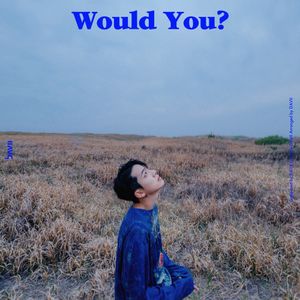 Would You? (Single)