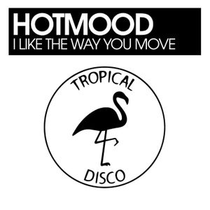 I Like the Way You Move (Single)