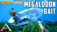 Megalodon Bait