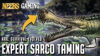 Expert Sarco Taming