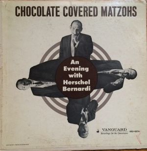 Chocolate Covered Matzohs