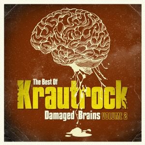 The Best Of Krautrock - Damaged Brains Volume 2