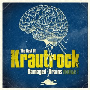 The Best Of Krautrock - Damaged Brains Volume 1