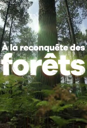 À la reconquête des forêts