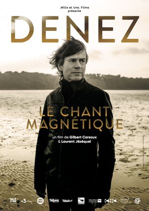 Denez, le chant magnétique