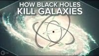 How Black Holes Kill Galaxies