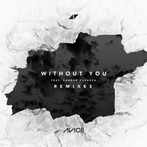 Without You (Rob Adans remix)