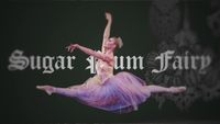 How "Dance of the Sugar Plum Fairy" Became a Christmas Classic