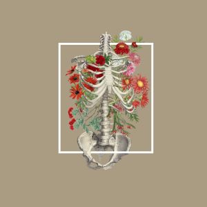 floral bones (EP)