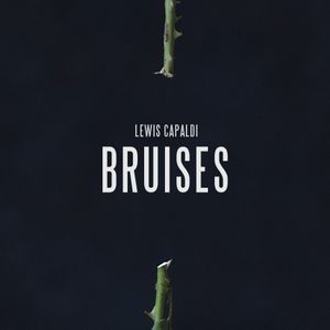 Bruises (Single)