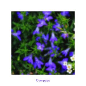 Overpass (Single)