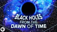 Black Holes from the Dawn of Time