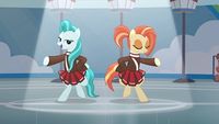 Les pom-pom-poneys