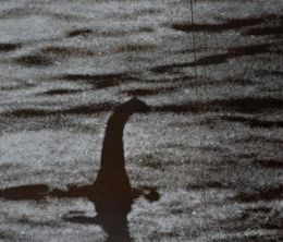 image-https://media.senscritique.com/media/000018688640/0/lost_tapes.jpg
