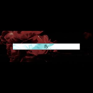Fly (Single)