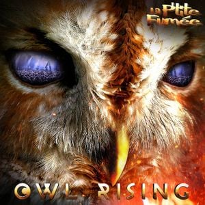 Owl Rising