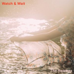 Watch & Wait: The Remixes
