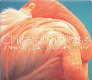 A Night With Christopher Cross: Best Hits Live (Live)
