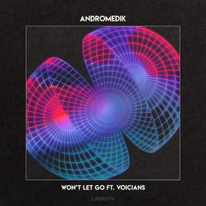 Won’t Let Go (Single)