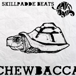 Skillpadde beats