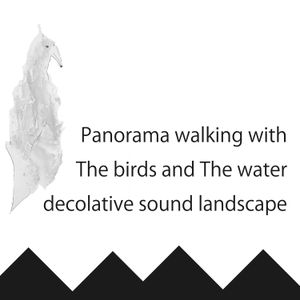 Panorama walking with The birds and The water decolative sound landscape
