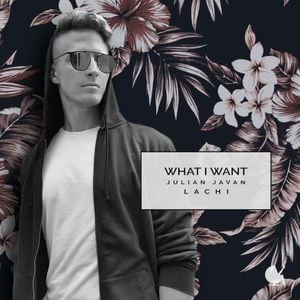 What I Want (Single)