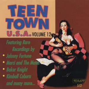 Teen Town USA, Volume 12